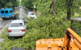 В Воронежской области ураган обесточил 20 районов, повалил деревья и столбы читатель 