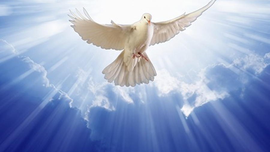 24_Дух Святой в виде голубя_1