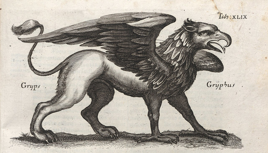 7_Грифон_Грифон в старинной книге о животных (ок. 1652 г.)