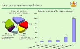 Воронежская область получила статус высокой долговой устойчивости